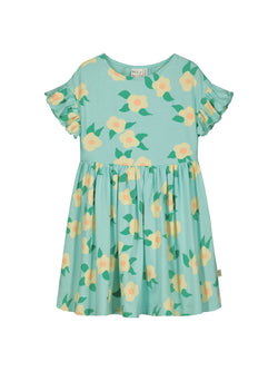 Midsummer Rose -mekko, sky